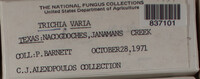 Image Associated With the Occurence